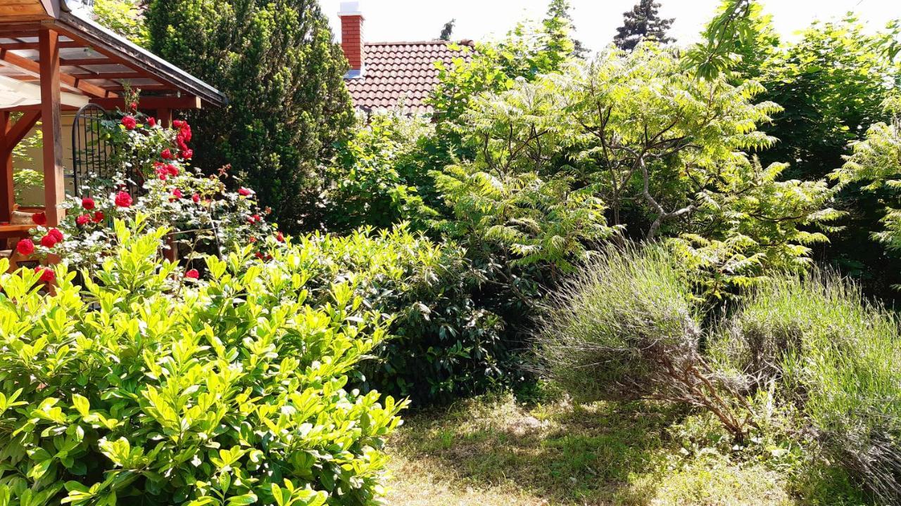 فيلا Szalakota Haz Balatongyörök المظهر الخارجي الصورة