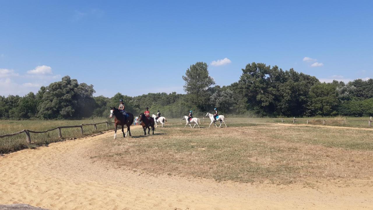 فيلا Szalakota Haz Balatongyörök المظهر الخارجي الصورة